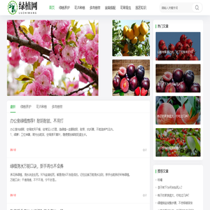 绿植网